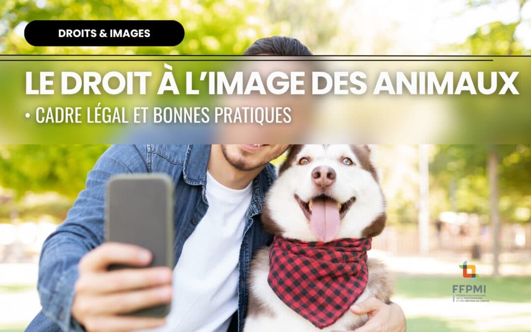 Le droit à l’image des animaux