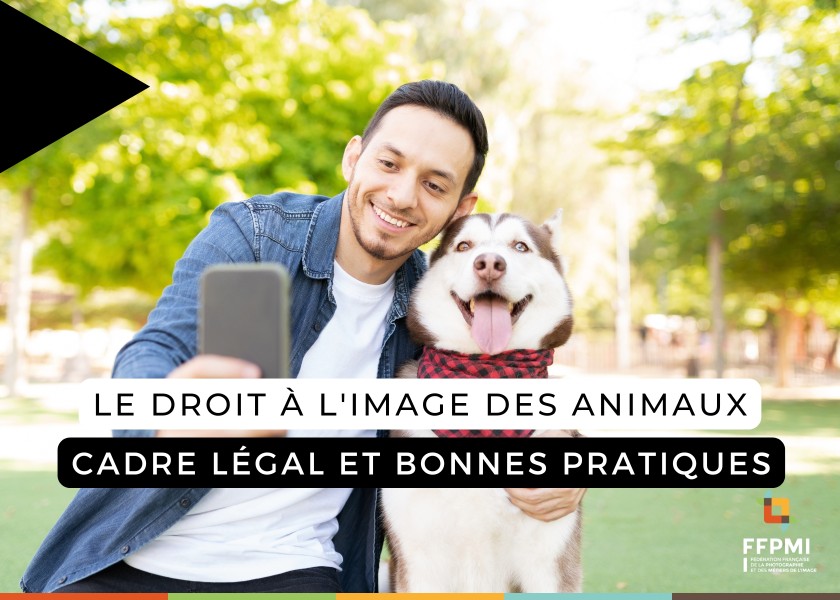 Le droit à l’image des animaux