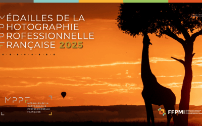 Protégé : MPPF 2025 : L’espace de vote du jury