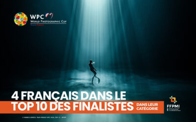WPC 2026 : 4 français sont finalistes dans leur catégorie