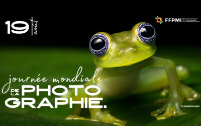 JOURNÉE MONDIALE DE LA PHOTOGRAPHIE 2026